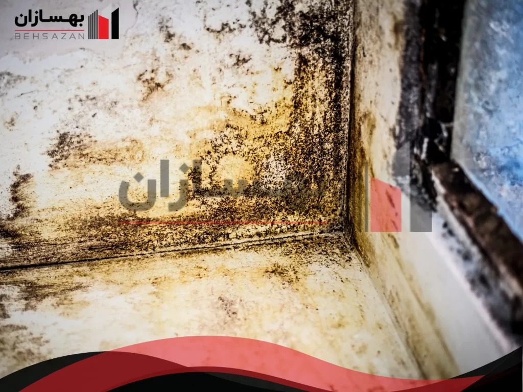 رشد کپک و بوی نامطبوع در سازه 
